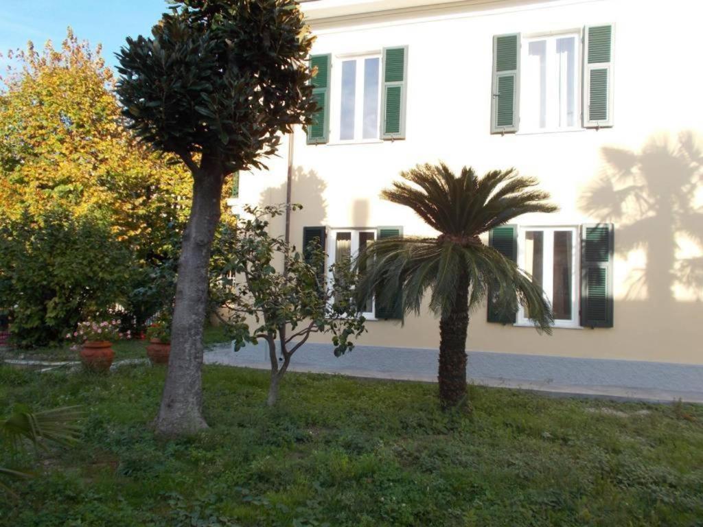 B&B Rossana Каррара Экстерьер фото